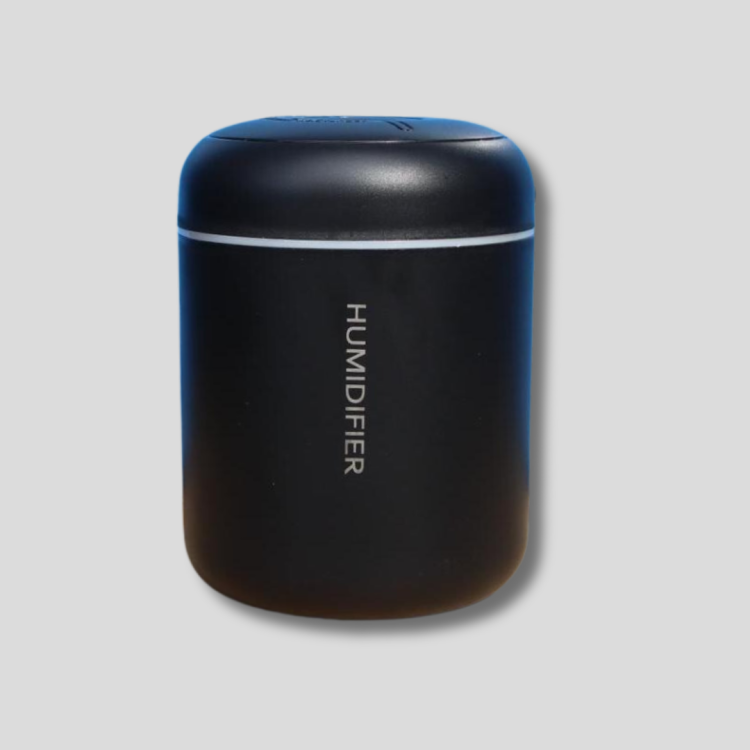 מפיץ ריח מיני