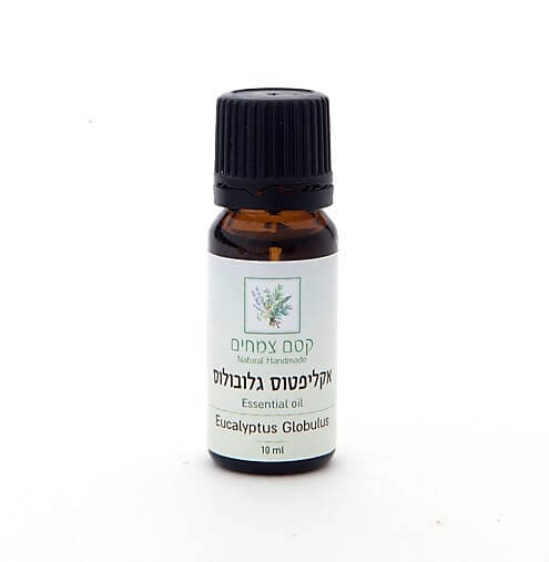 שמן אתרי איקליפטוס גלובולוס